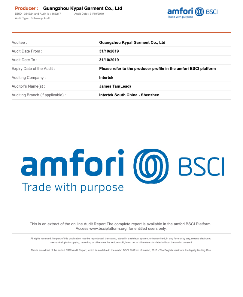 BSCI Audit Report